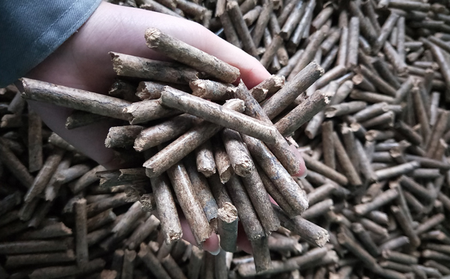 鋸末顆粒機木屑顆粒燃料 鋸末顆粒機木屑顆粒燃料