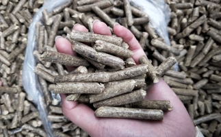 鋸末顆粒機(jī)木屑顆粒燃料市場前景如何？