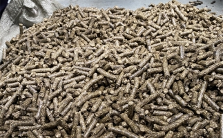 為什么很多人想了解木屑顆粒機(jī)加工的燃料顆粒作用？