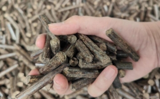 煤炭熱值那么高，為什么還要燒鋸末顆粒機(jī)的生物質(zhì)顆粒燃料？