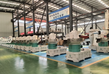 木屑顆粒機(jī)為什么選大不選??？